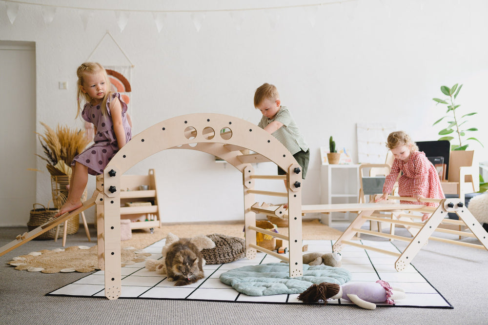 Arche D'escalade Frog PIKLER En Bois Naturel – 6 Marches Par Côté, Motricité Et Équilibre Dès 24 Mois, Design Unisexe Marron