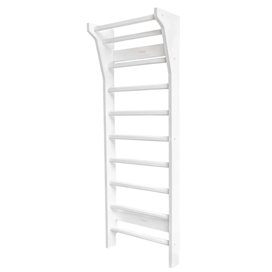 Espalier suédois De sport Bois Échelle suédoise Terrain de jeu pour les enfants Espalier suédois De sport Bois Échelle suédoise Terrain de jeu pour les enfants