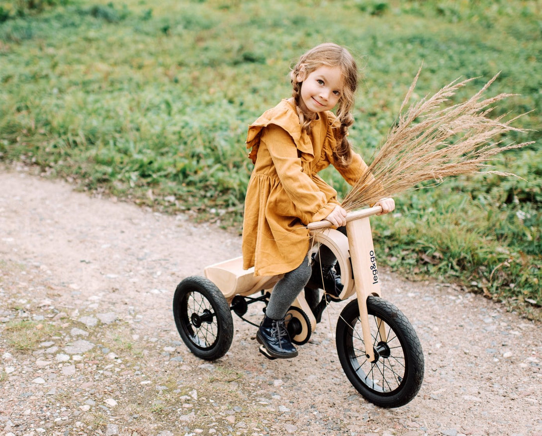 Extension "Tricycle" pour Draisienne évolutive, en bois FSC • LOOVE