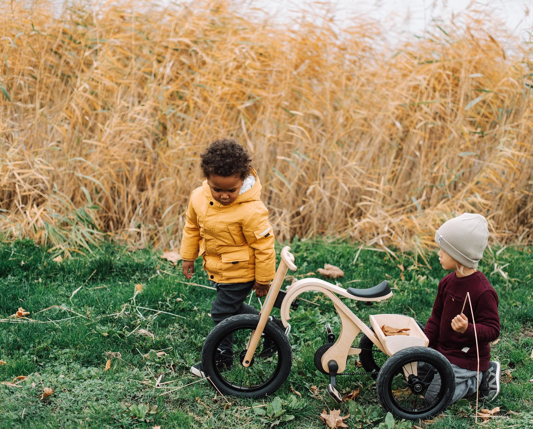 Extension "Tricycle" pour Draisienne évolutive, en bois FSC • LOOVE